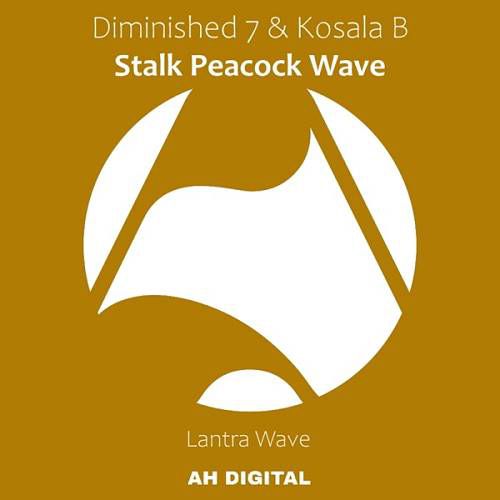 Diminished 7 & Kosala B - Stalk Peacock Wave [AHD191]